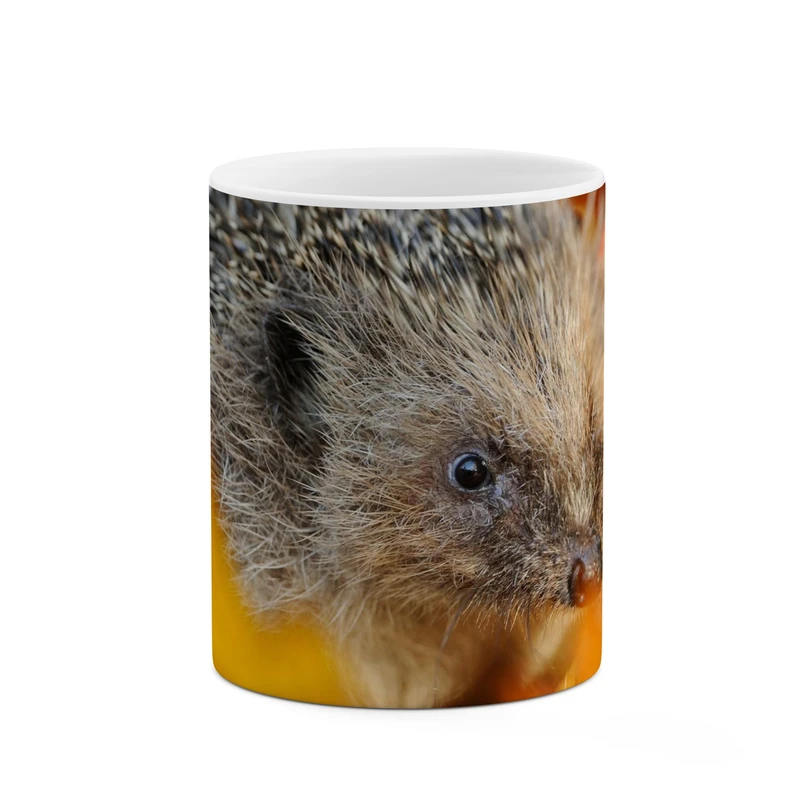 ماگ کاکتی طرح جوجه تیغی کد mgp11521