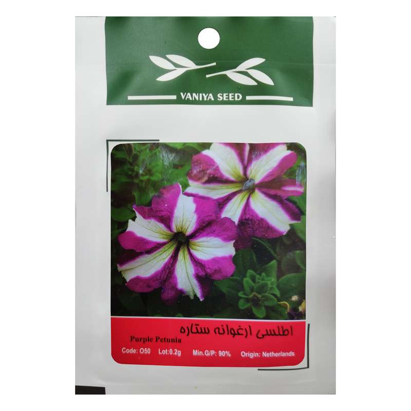 بذر گل اطلسی ارغوانه ستاره وانیا سید مدل O50