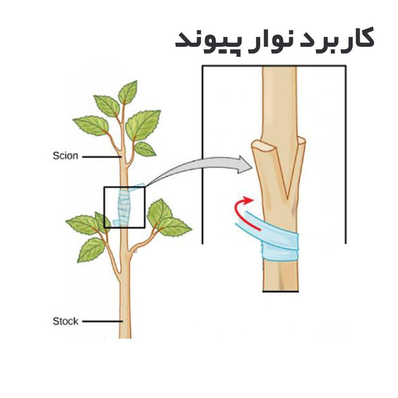 قیچی پیوند زنی بهکو مدل TAIWAN-BP-J68