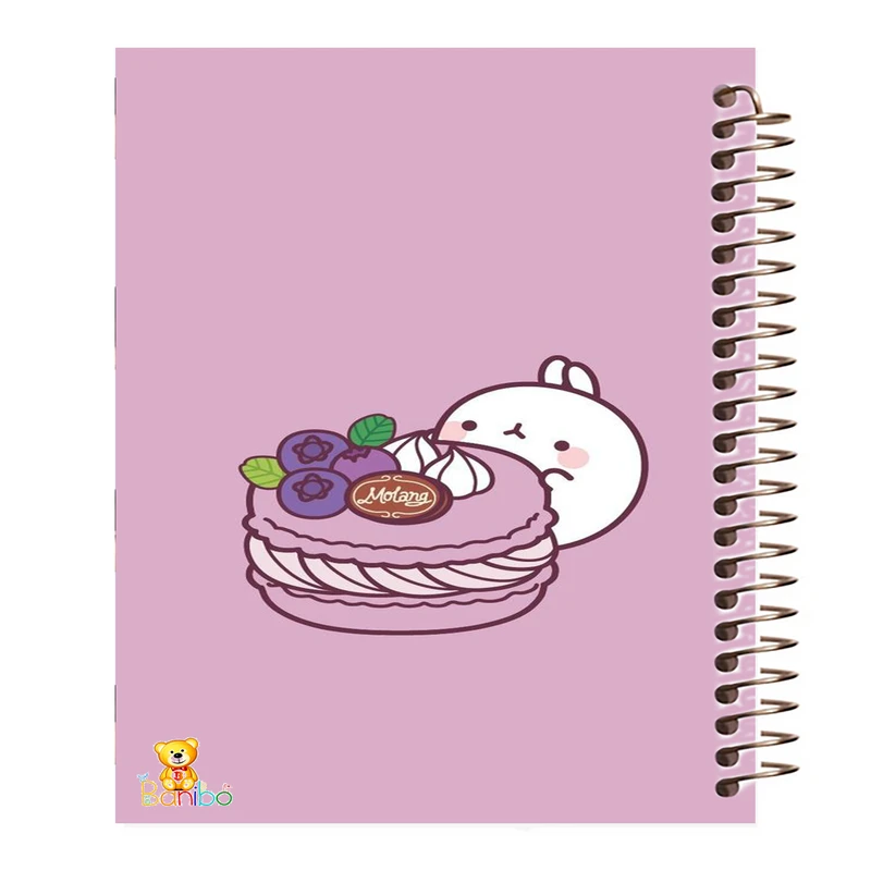 دفتر نقاشی 50 برگ بانیبو مدل  خرگوش کیوت کد640