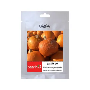 بذر کدو هالووین بذرینو کد BZNO-200