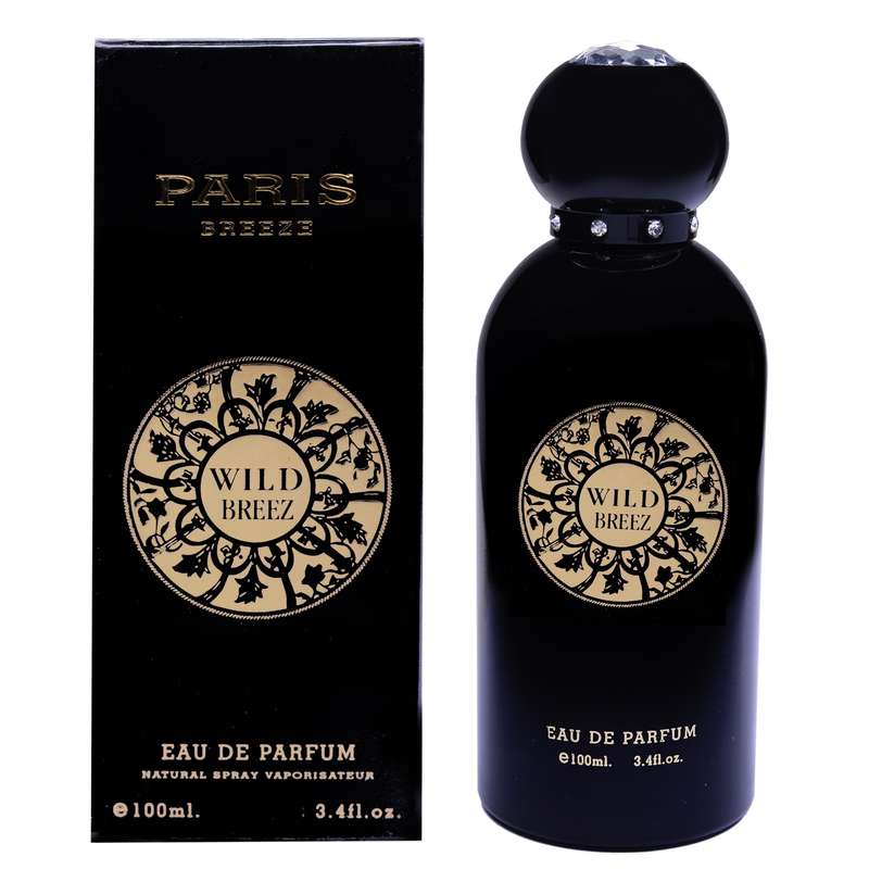 ادو پرفیوم مردانه پاریس بریز مدل WILD BREEZ حجم 100 میلی لیتر