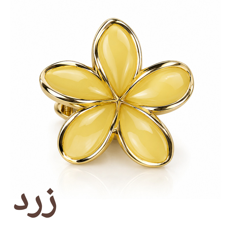 کلیپس مو زنانه پلومریا مدل کاتیا لوکس کد GC-25