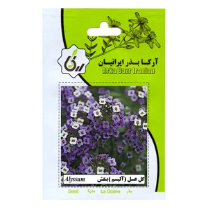بذر گل عسل بنفش آرکا بذر ایرانیان مدل C129