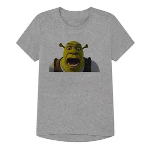 تی شرت آستین کوتاه پسرانه مدل شرک کد15 Z رنگ طوسی