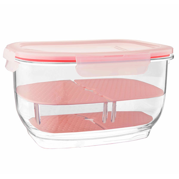 ظرف نگهدارنده کد 844