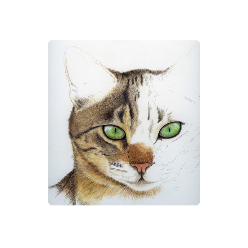 کاشی مدل k164