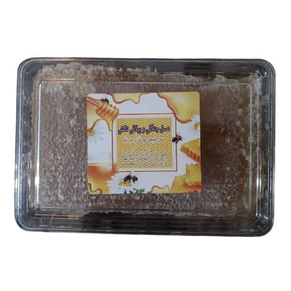 عسل جنگلی موم دار ییلاقی تالش - 1200 گرم