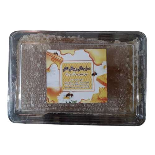 عسل جنگلی موم دار ییلاقی تالش - 1200 گرم