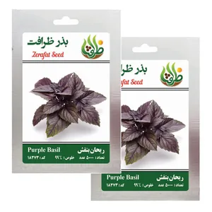 بذر ریحان بنفش ظرافت مدل BZ18373 بسته 2 عددی