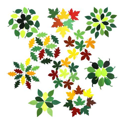 الگو نمد آرما نمد طرح برگ بسته 120 عددی