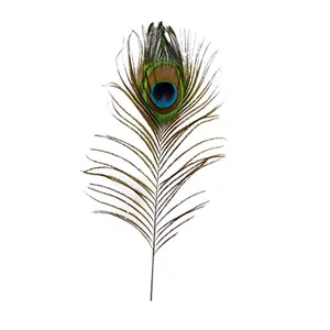 پر دریم کچر طرح طاووس کد S60B1