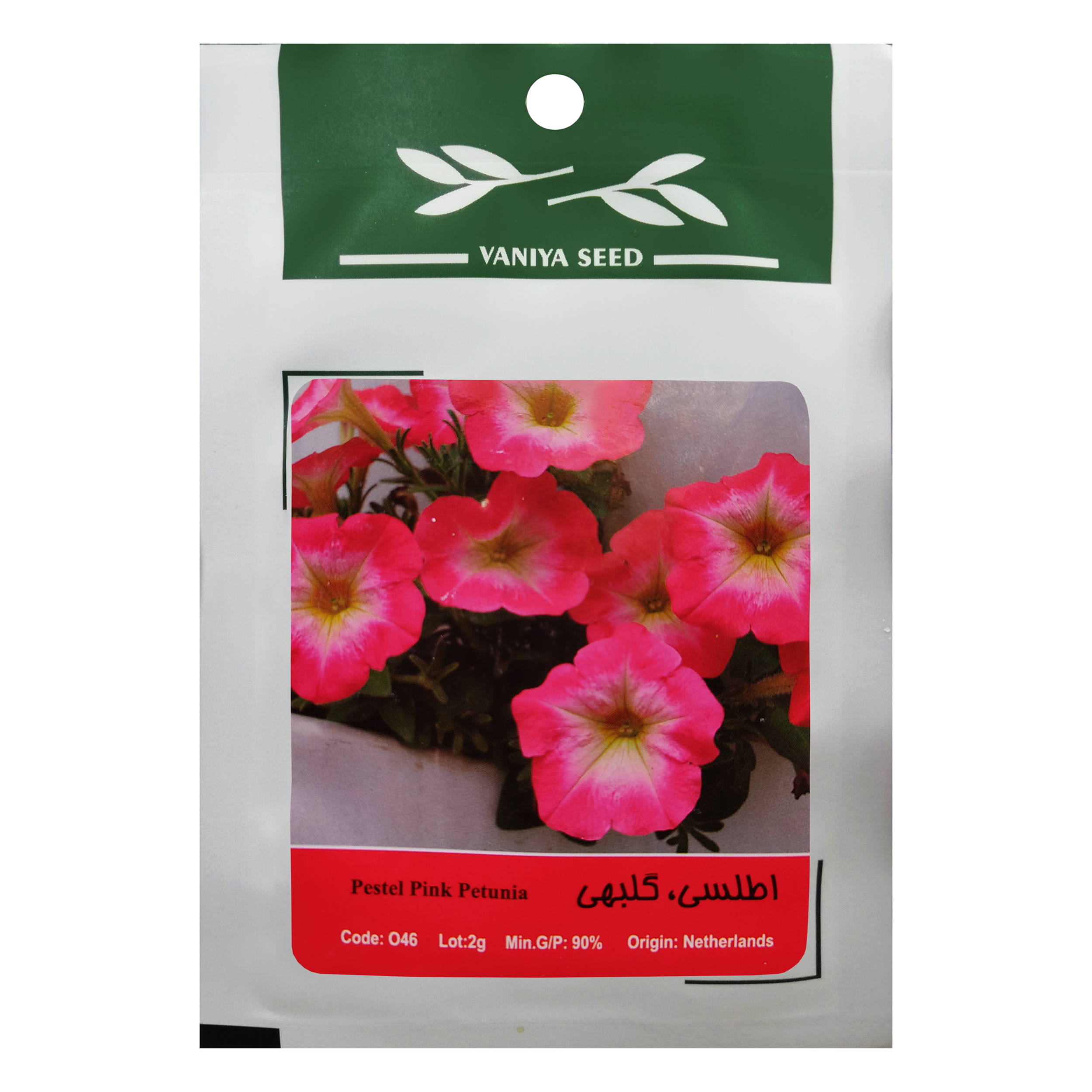 بذر گل اطلسی گلبهی وانیا سید مدل O46