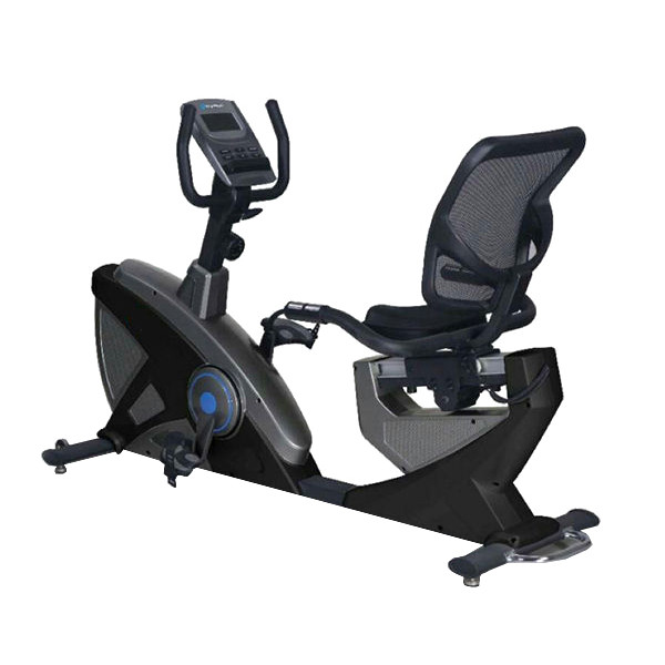 دوچرخه ثابت مدل مبله فرش وی 8719RP