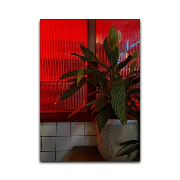 تابلو شاسی گوفی مدل گلدان طرح Flower کد RED63