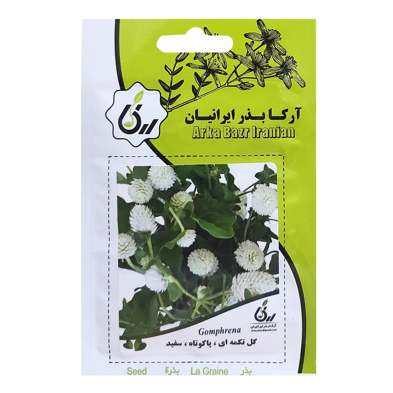 بذر گل تکمه ای پاکوتاه سفید آرکا بذر ایرانیان کد ARK-101