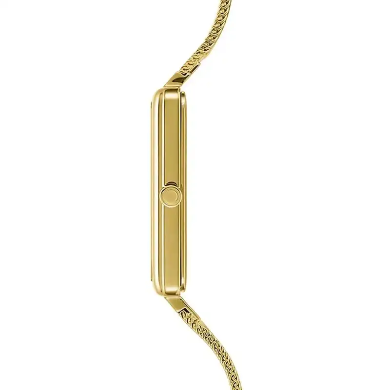 ساعت مچی عقربه ای زنانه اباکو مدل v236lxgimg