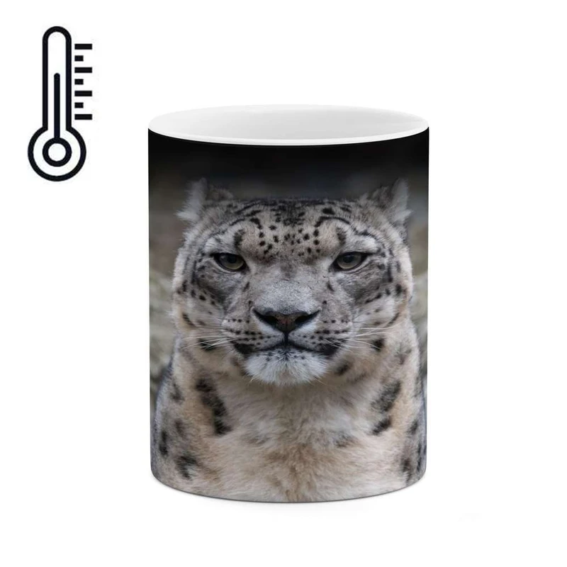 ماگ حرارتی کاکتی مدل گربه سان کد mgh16704