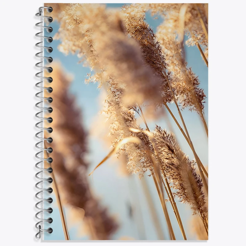 دفتر لغت 50 برگ خندالو طرح نیزار کد F5258