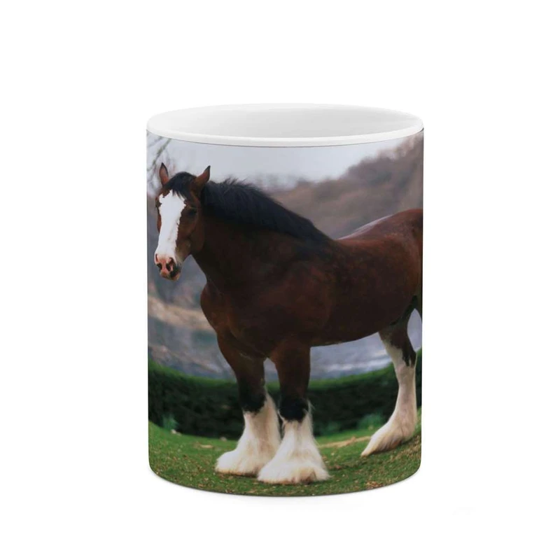 ماگ کاکتی مدل اسب کد mgh24202