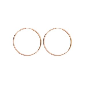 گوشواره حلقه‌ای طلا 18 عیار زنانه طلای صداقت مدل HS1
