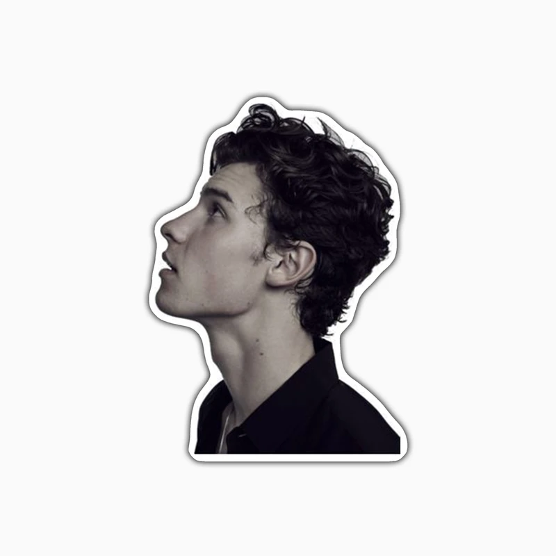 استیکر لپ تاپ و موبایل بووم طرح بازیگر معروف کد FR129