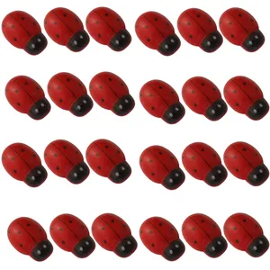 مگنت مدل كفشدوزك ريز بسته 24 عددي