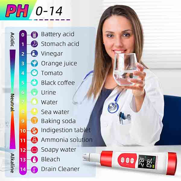 PH متر مدل multifunctional PH-300