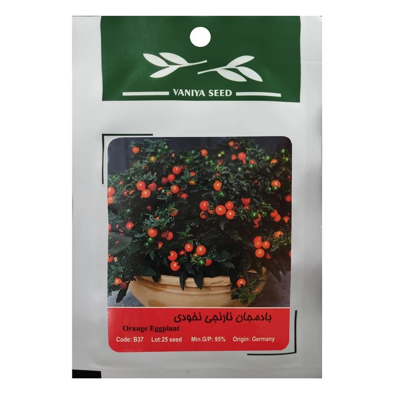بذر بادمجان نارنجی نخودی وانیا سید مدل BA1583