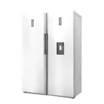 یخچال و فریزر دوقلو 40 فوت دوو مدل D4LR-0020MW/D4LF-0020MW