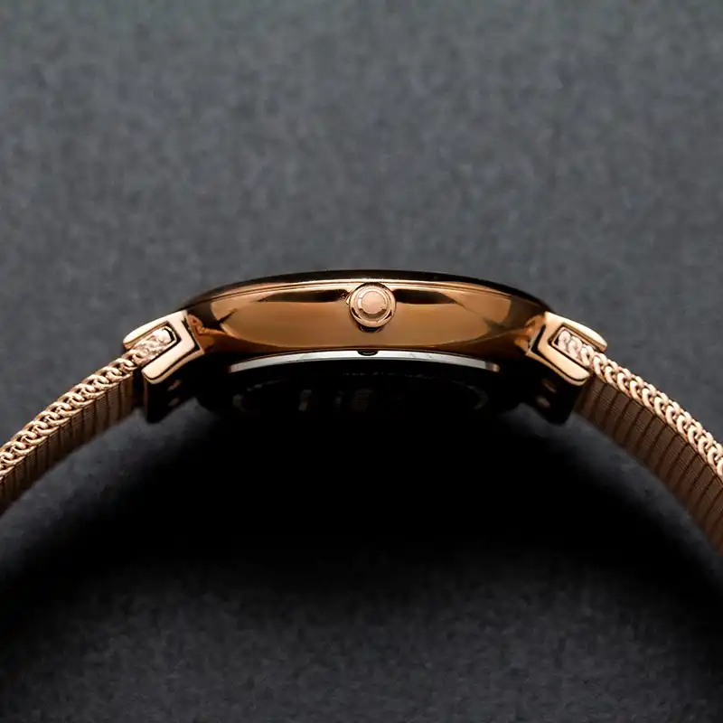 ساعت مچی عقربه ای زنانه اباکو مدل V153LXVWMV