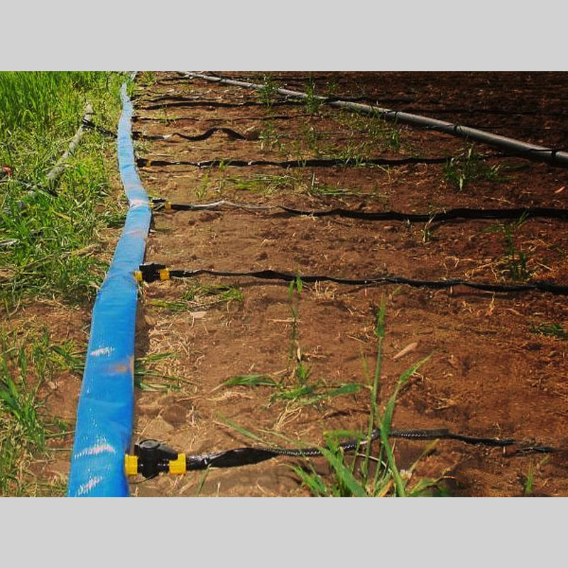 شلنگ آبیاری نت ان ال جی مدل نخ دار قطر 2 اینچ طول 100 متر شلنگ آبیاری نت ان ال جی مدل نخ دار قطر 2 اینچ طول 100 متر