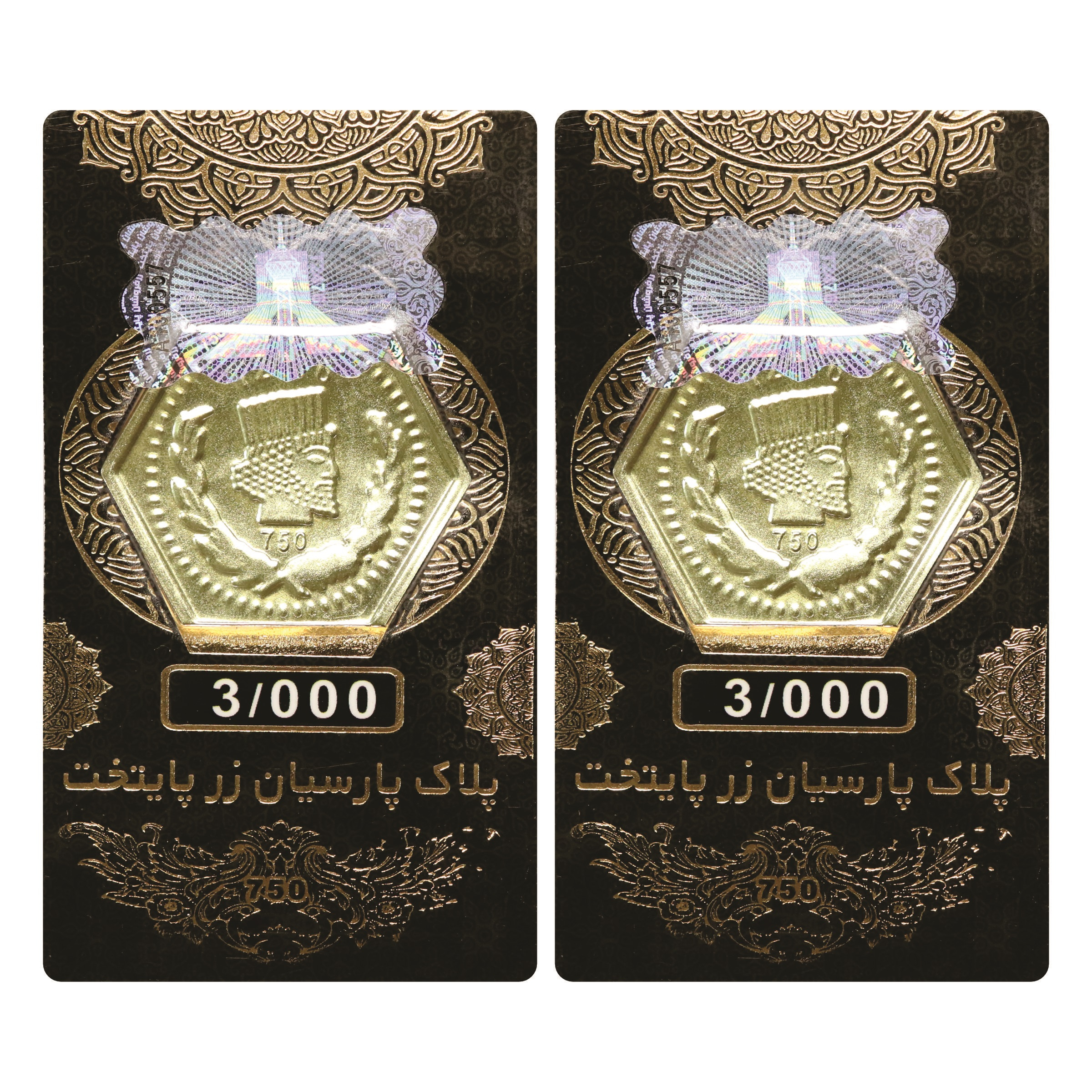 سکه گرمی 18 عیار پارسیان زر پایتخت مدل ZP0006 بسته 2 عددی