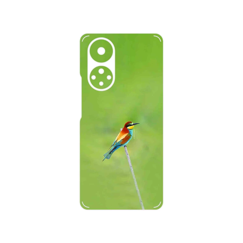 برچسب پوششی ماهوت مدل European bee-eater مناسب برای گوشی موبایل آنر 50