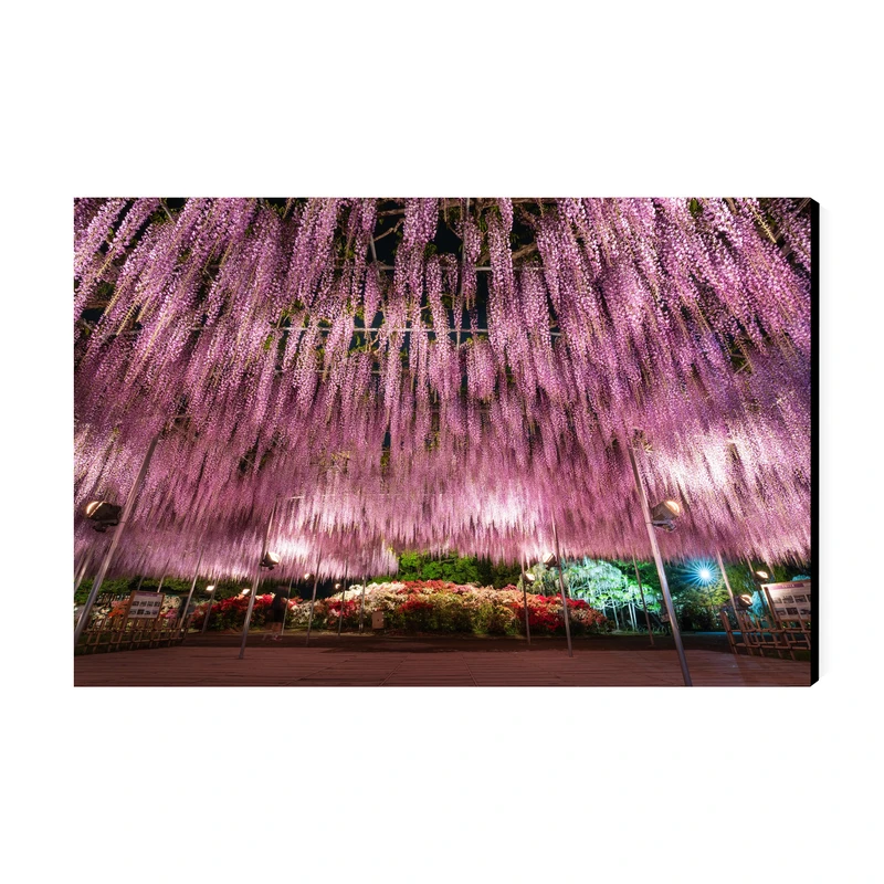 تابلو شاسی عرش طرح گردشگری ژاپن مدل باغ کاواچی ویستریا کد As6185