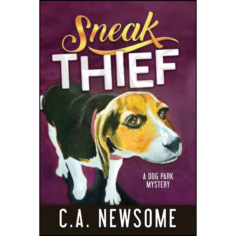 کتاب Sneak Thief اثر C. A. Newsome انتشارات تازه ها