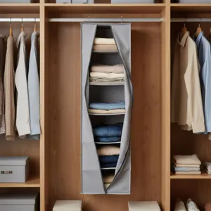 ارگانایزر چینش مدل D06