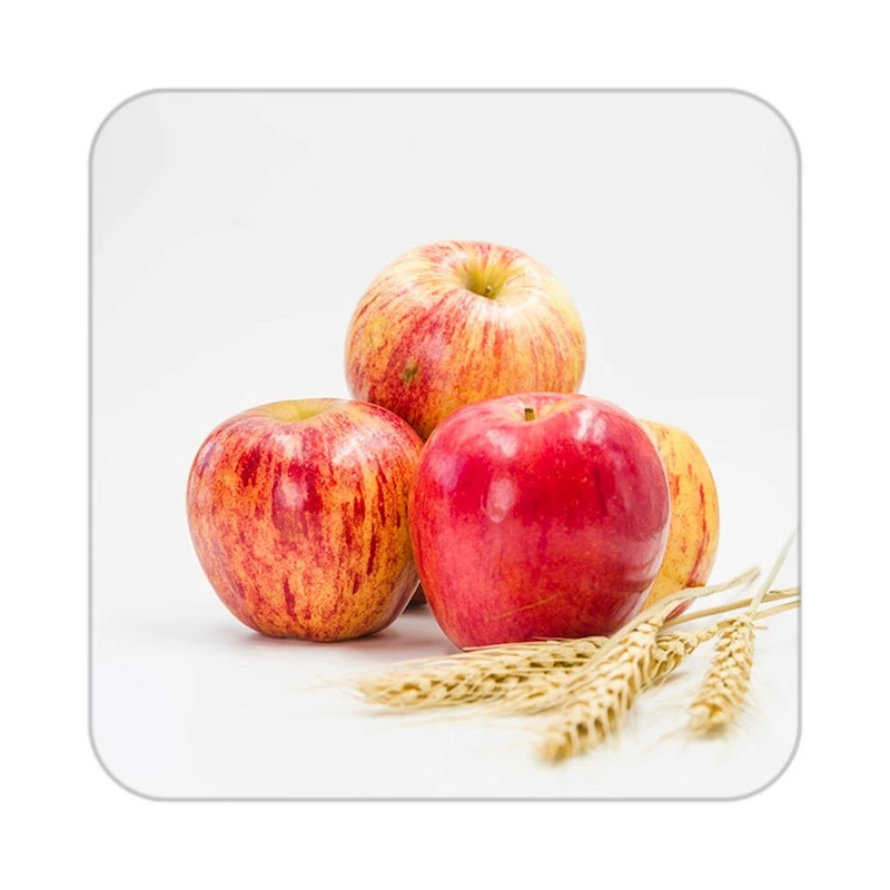 زیر لیوانی کاکتی طرح میوه مدل mp19886