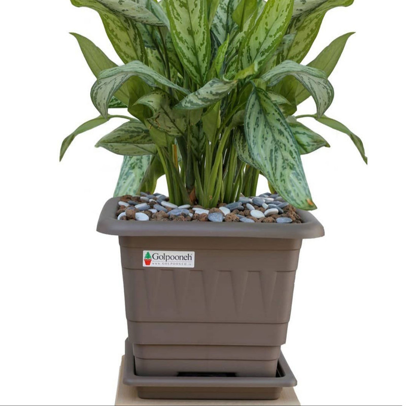 گلدان گلپونه مدل پلاستیکی مربع کد 117