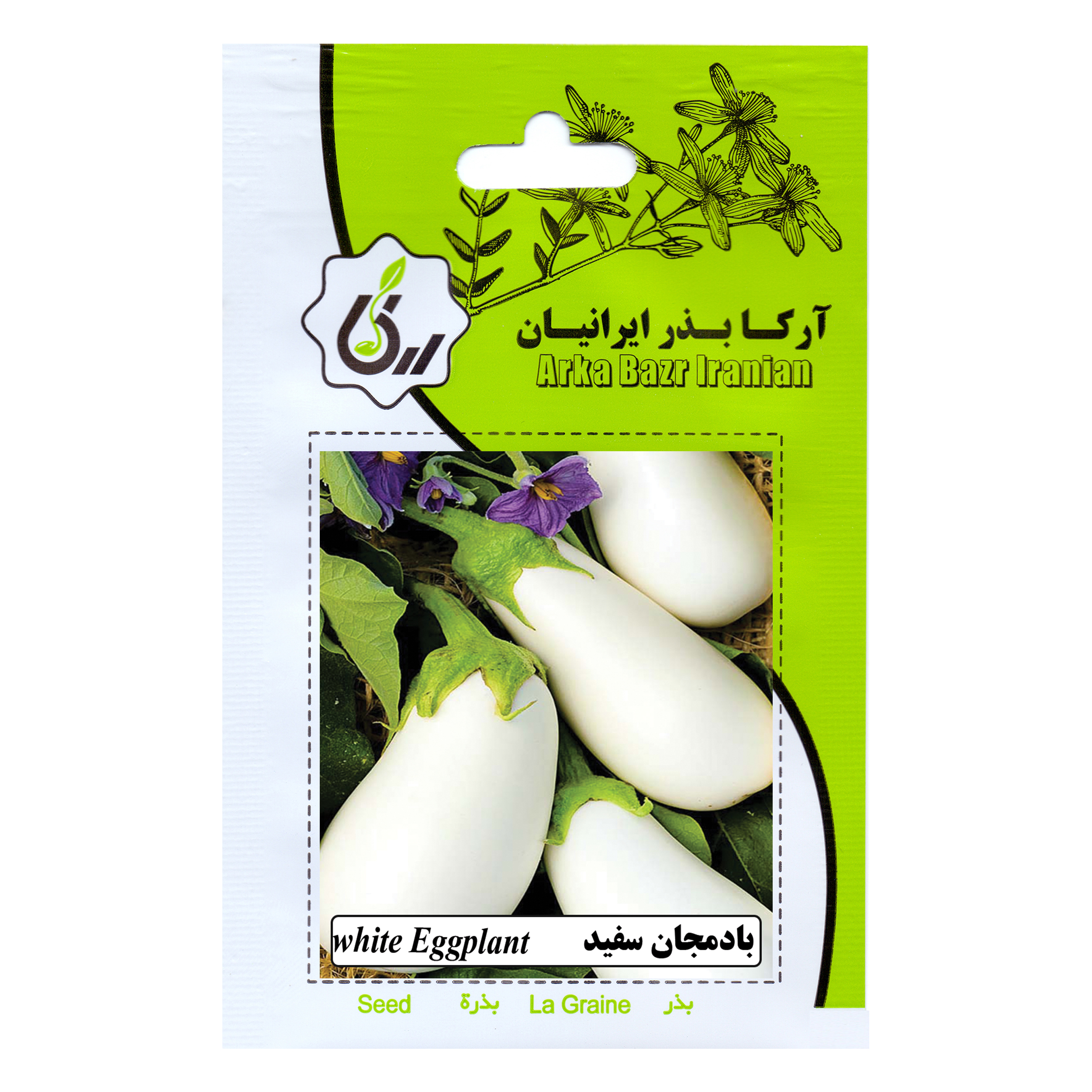 بذربادمجان سفید آرکا بذر ایرانیان مدل B71