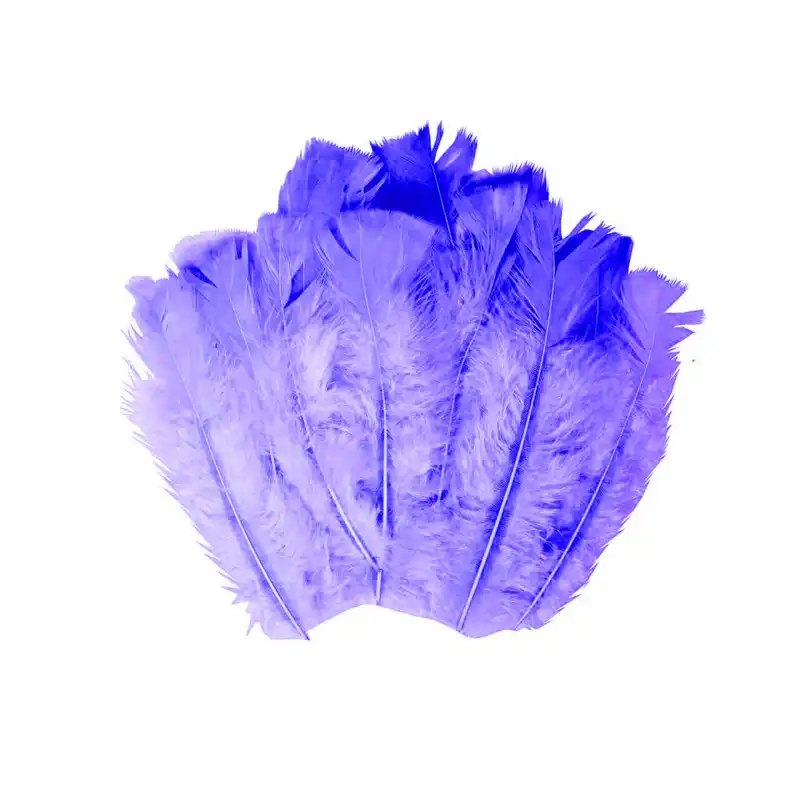 پر دریم کچر مدل L12 بسته  20 عددی