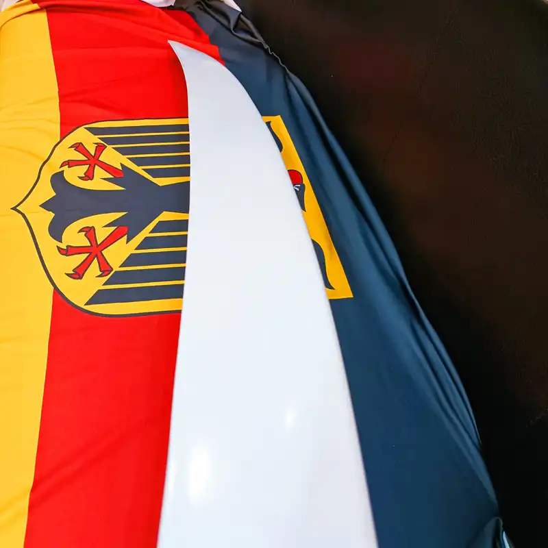 بال عقب خودرو مدل MAMOL-SEF مناسب برای پژو پارس