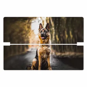 MAHOOT Dog-1 Cover Sticker for Lenovo Miix 510 2016