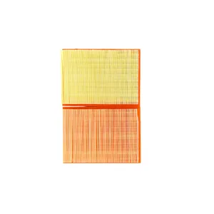 فیلتر هوا خودرو مدل FPR2 مناسب برای پراید بسته دو عددی