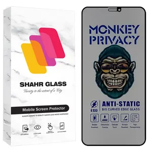 Shahr Glass AMPS Privacy Screen Protector Suitable For Apple iPhone 11