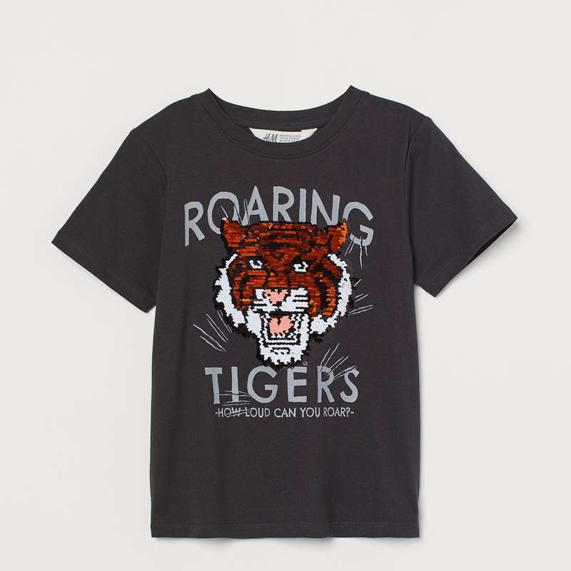 تی شرت آستین کوتاه پسرانه اچ اند ام مدل 0971076006