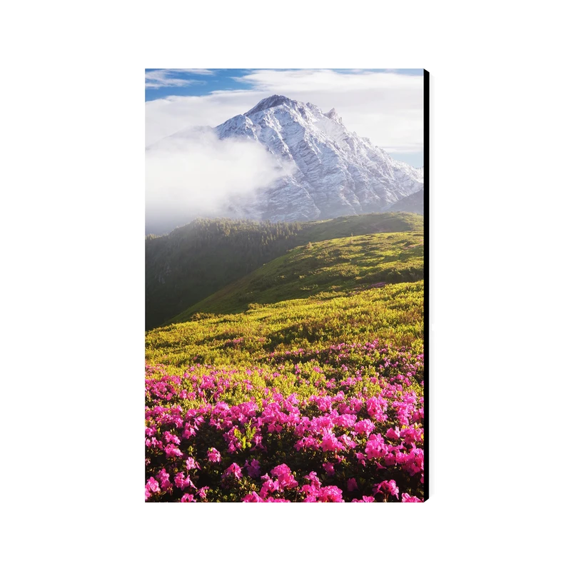 تابلو شاسی عرش مدل فانتزی منظره دشت کد As4405