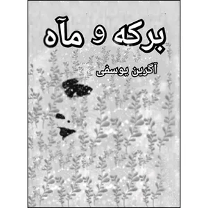 کتاب برکه و ماه اثر آگرین یوسفی انتشارات ارسطو