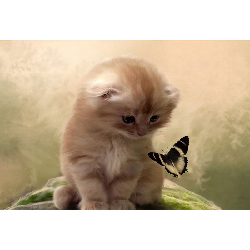 تابلو شاسی طرح نقاشی گربه و پروانه مدل T1610