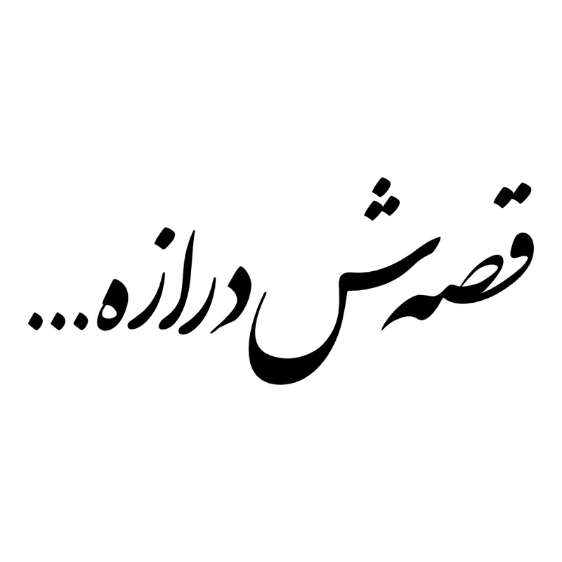 برچسب بدنه خودرو طرح قصه‌ش درازه... کد MT-B426 